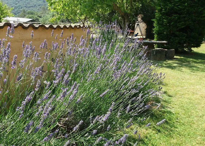 Casa vacanze Serrallonga Camós